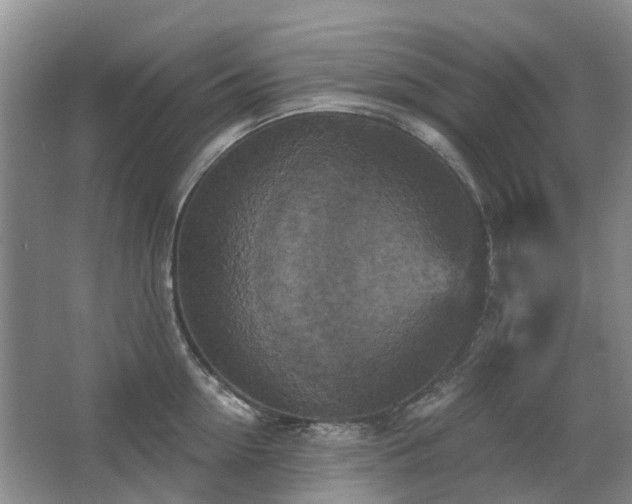 X0000067880954200604131259