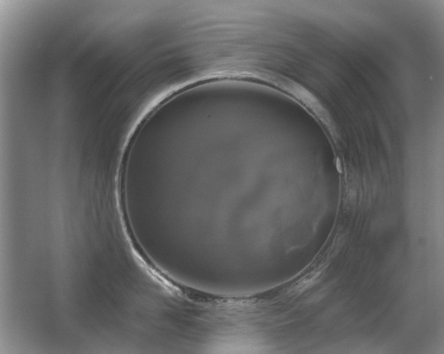 X0000067880958200604131259
