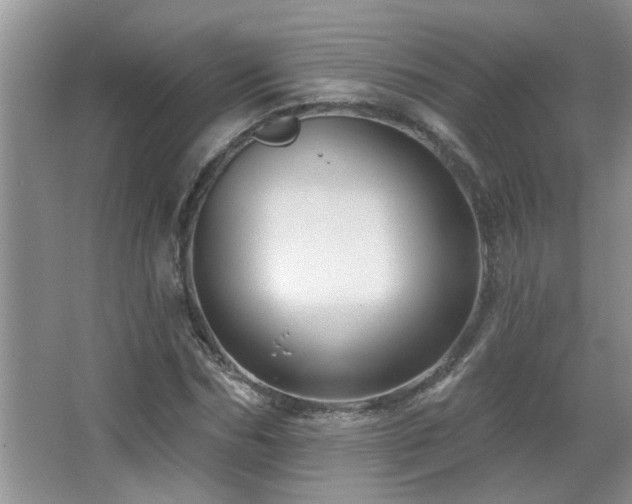 X0000067880970200604131258