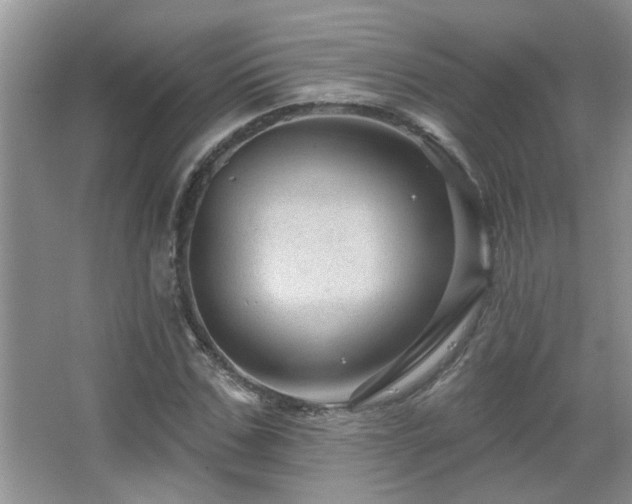 X0000067880971200604131258
