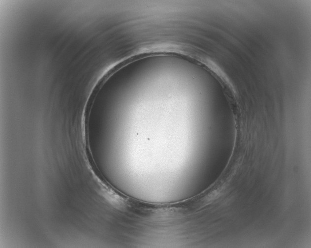X0000067880988200604131258