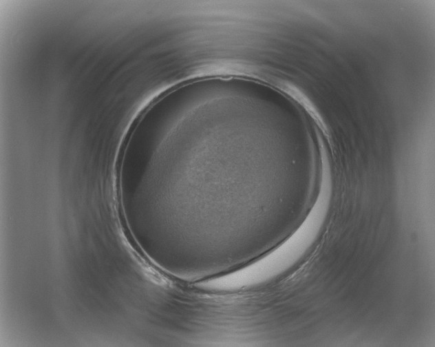 X0000067880996200604131258