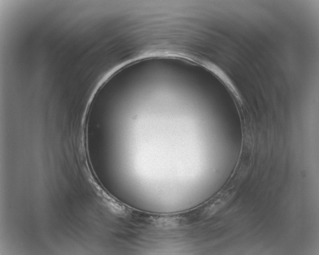 X0000067881004200604131257