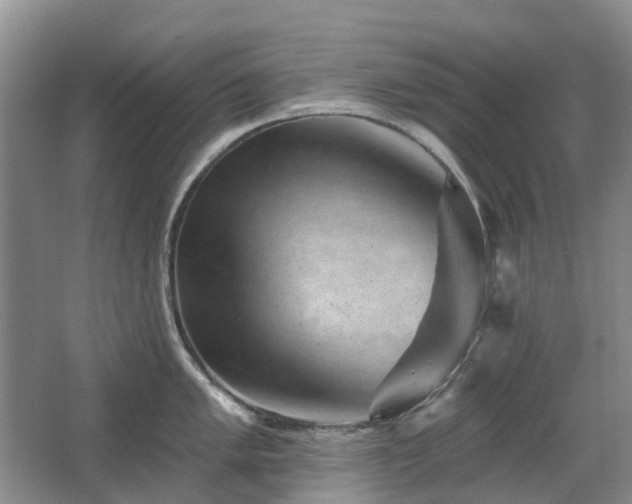 X0000067881005200604131257