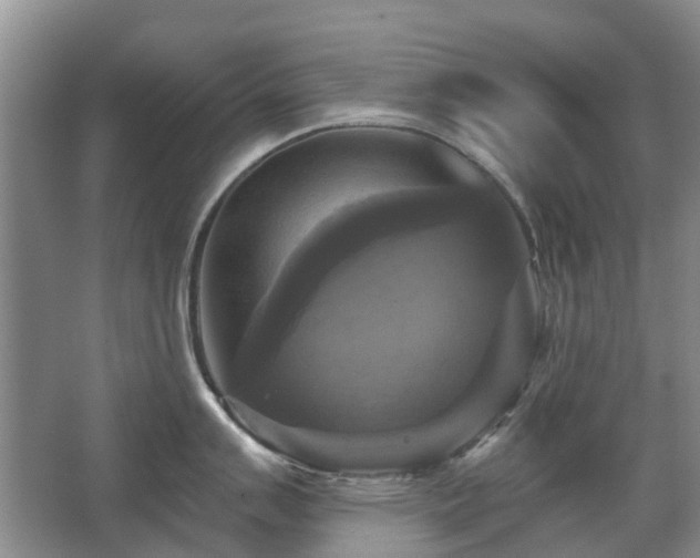 X0000067881007200604131257