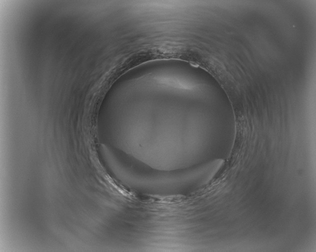 X0000067881009200604131256