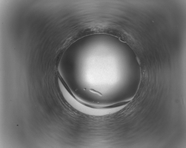 X0000067881012200604131257