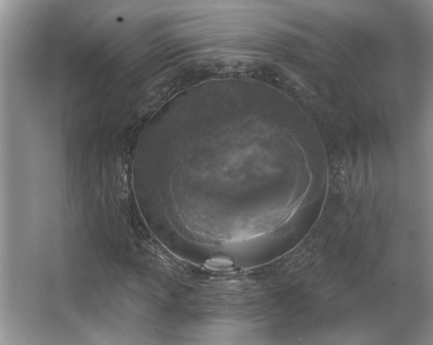 X0000067881013200604131257