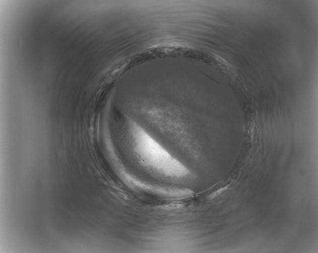 X0000067881014200604131257