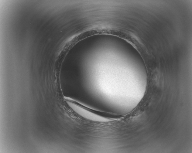 X0000067881016200604131257