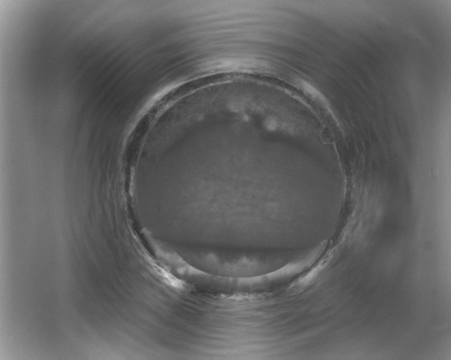 X0000067881019200604131257