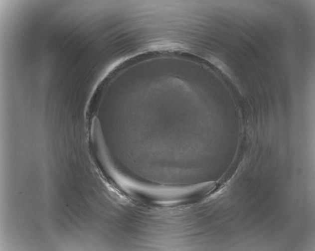 X0000067881022200604131257