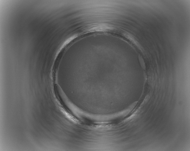 X0000067881026200604131257
