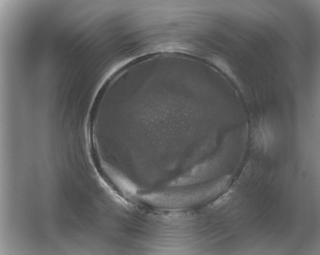 X0000067881032200604131257