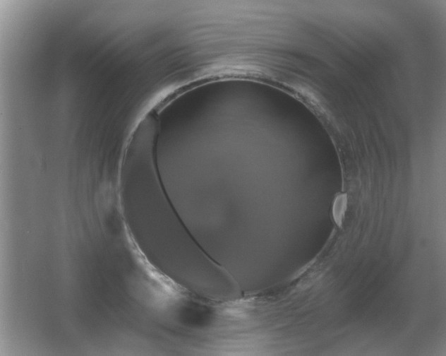 X0000067881038200604131257