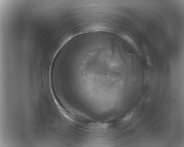 X0000067881039200604131257