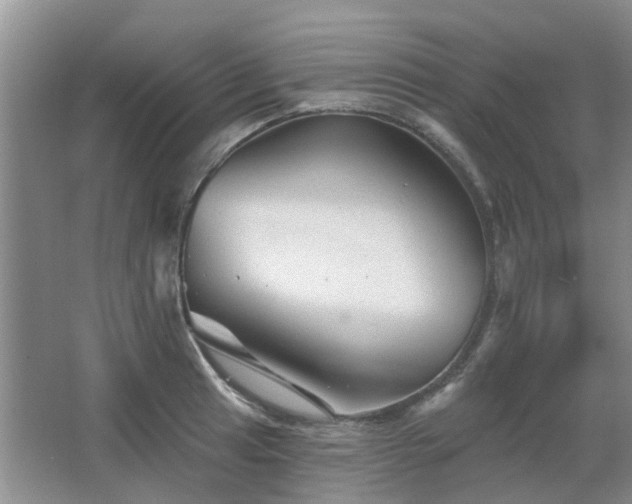 X0000067881041200604131257