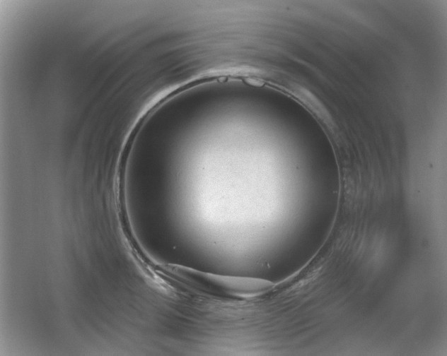 X0000067881044200604131257