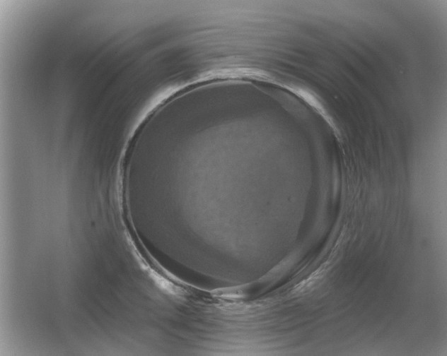 X0000067881046200604131257