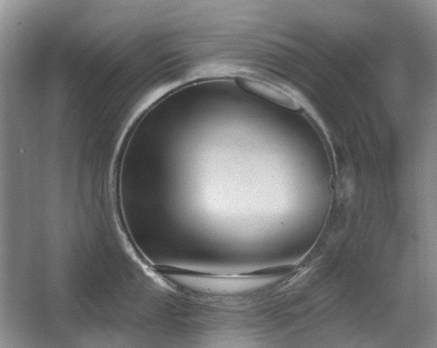 X0000067881053200604131257