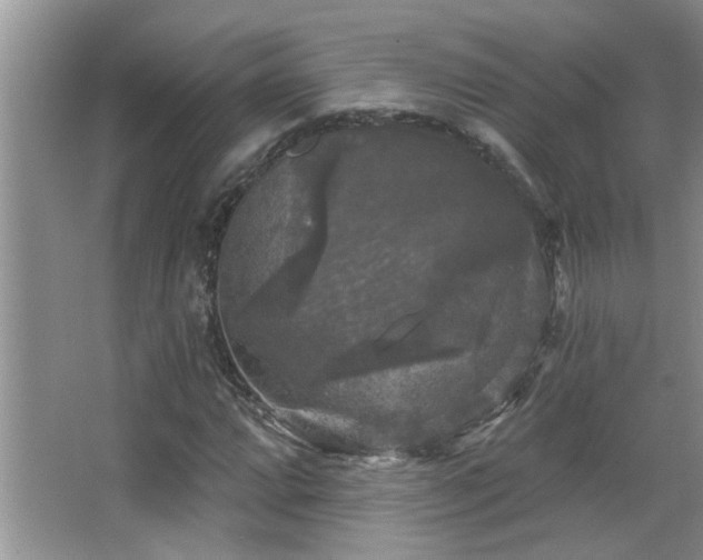 X0000067881064200604131256