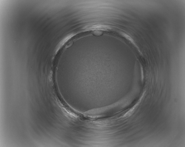 X0000067881066200604131256
