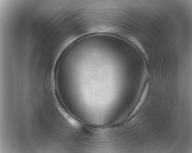 X0000067881080200604131256