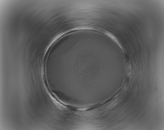 X0000067881101200604131256