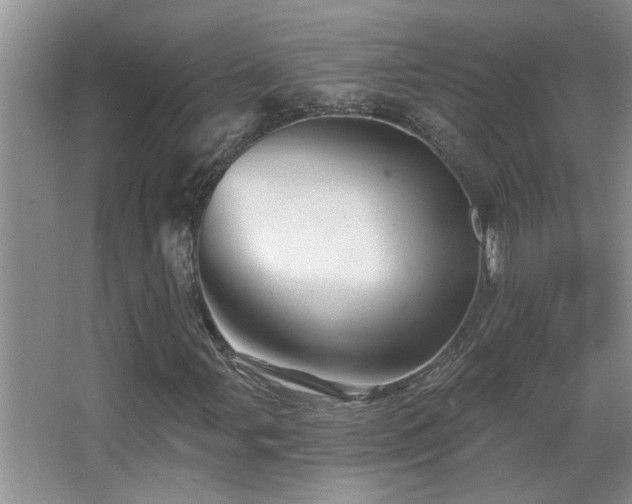 X0000067881107200604131255