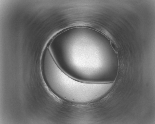X0000067881132200604131255