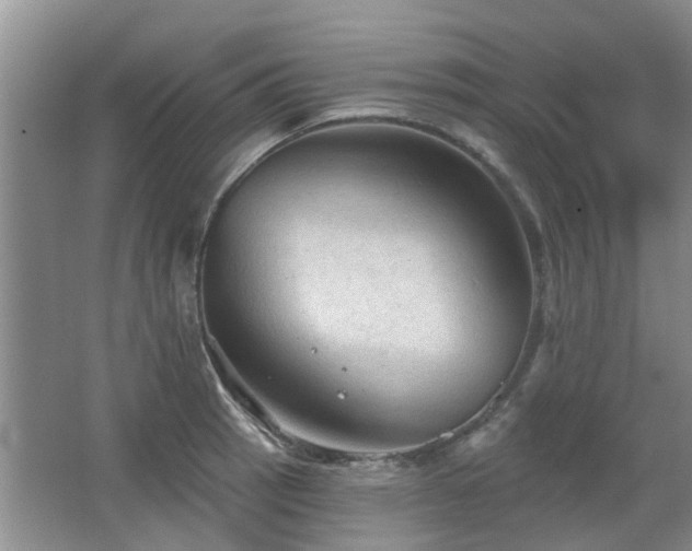 X0000067881137200604131255