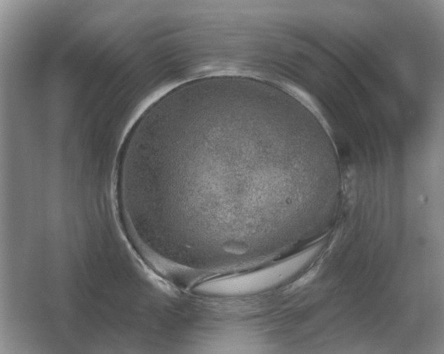 X0000067881149200604131256