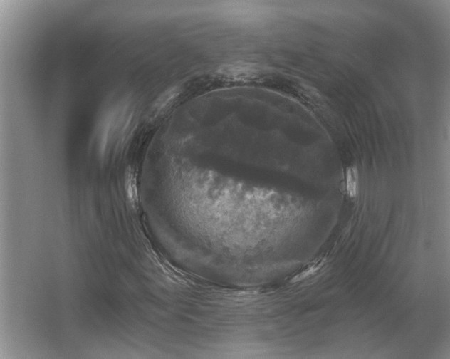 X0000067881155200604131255
