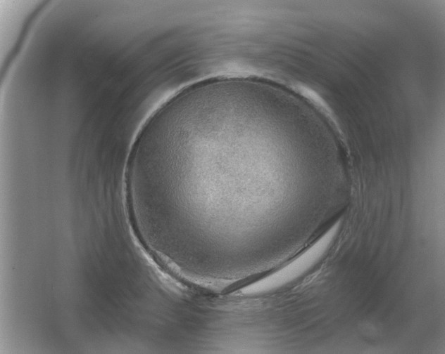 X0000067881183200604131254