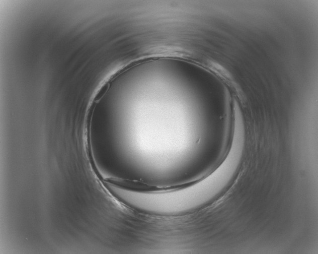 X0000067881188200604131254