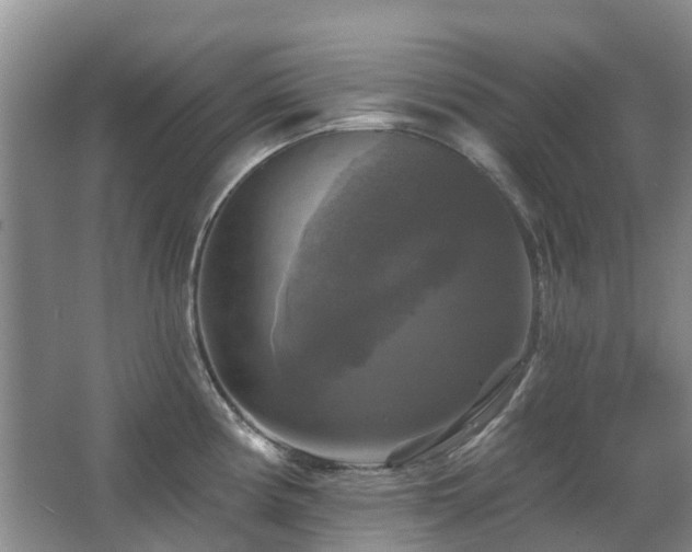 X0000067881194200604131254