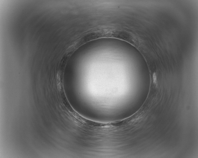 X0000067881203200604131253