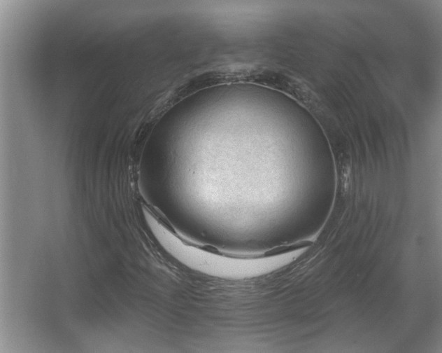 X0000067881204200604131253