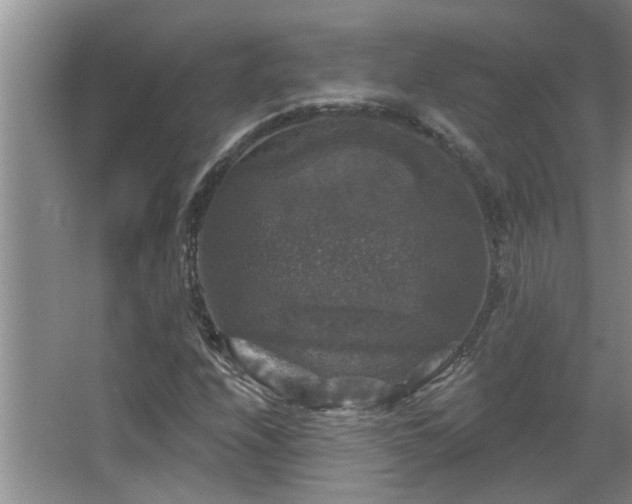 X0000067881208200604131253