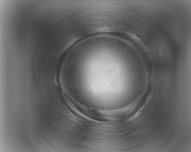 X0000067881209200604131253