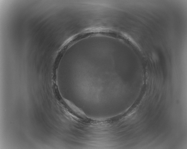 X0000067881213200604131253