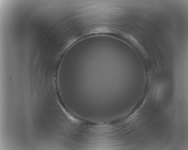 X0000067881225200604131254