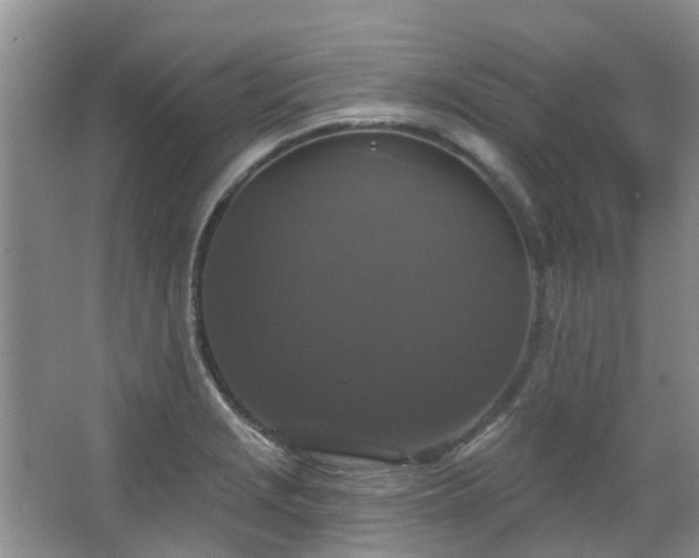 X0000067881229200604131254