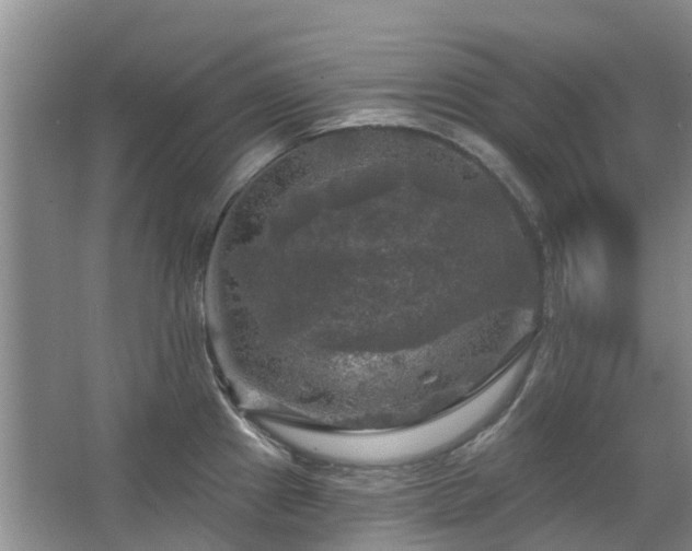 X0000067881241200604131254