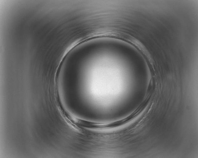 X0000067881242200604131254