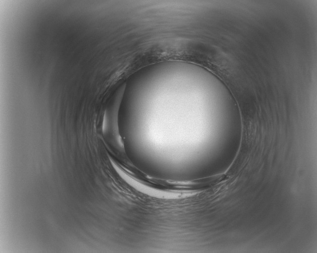 X0000067881250200604131253