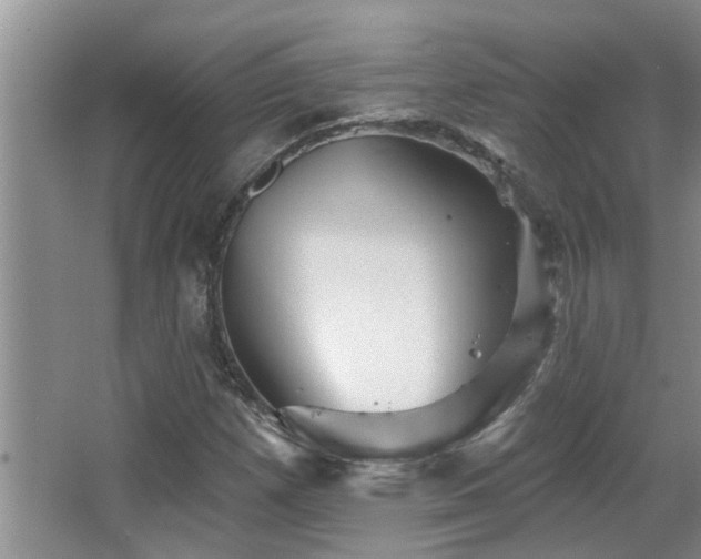 X0000067881257200604131253
