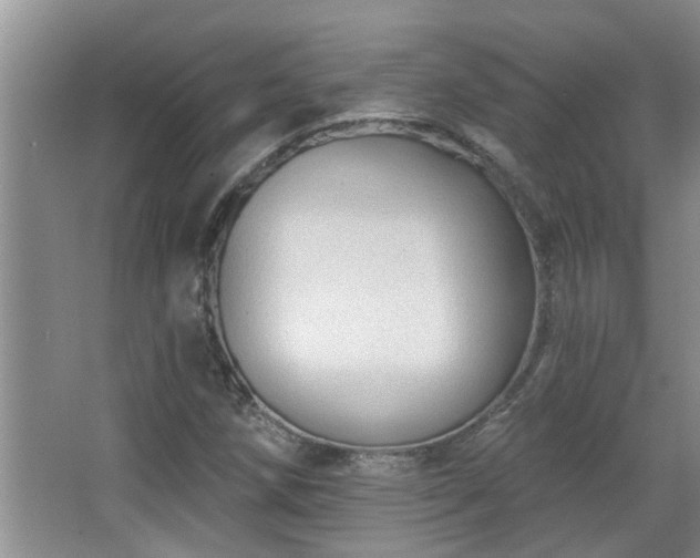 X0000067881258200604131253