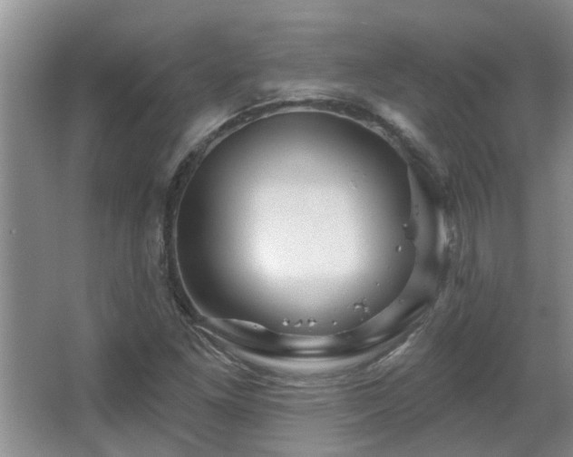 X0000067881261200604131253