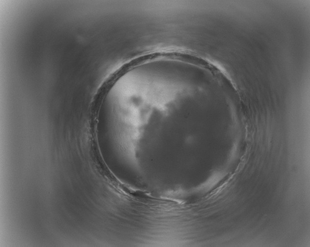 X0000067881263200604131253